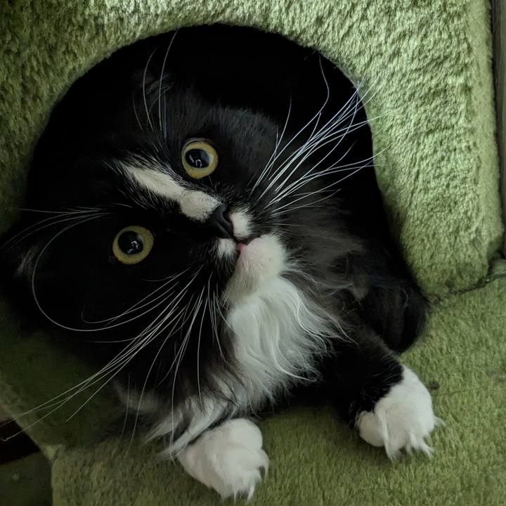 Bc5ada47 4092 4f4c b5be dc899724fa0e 1686620603912