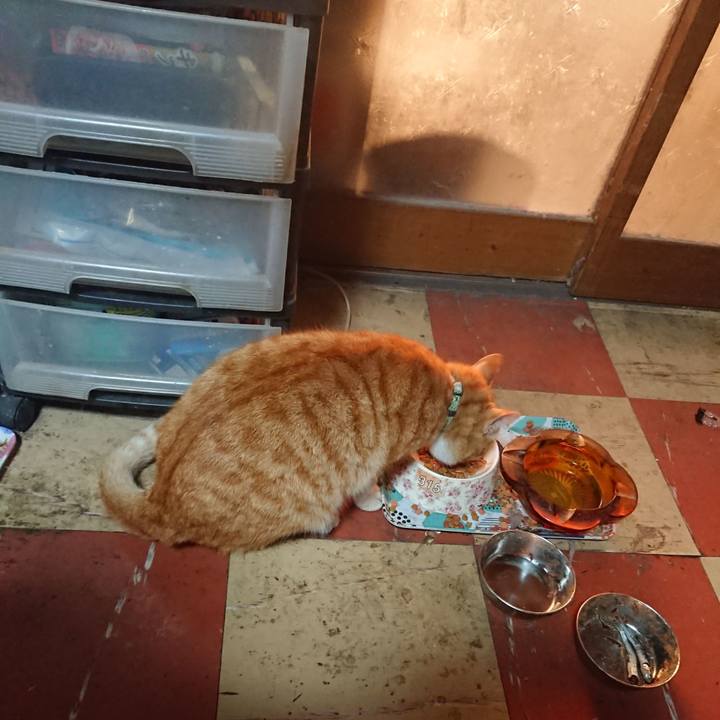 Bc5b0b26 5258 44b6 b2d4 097f0c021354 1586381013091