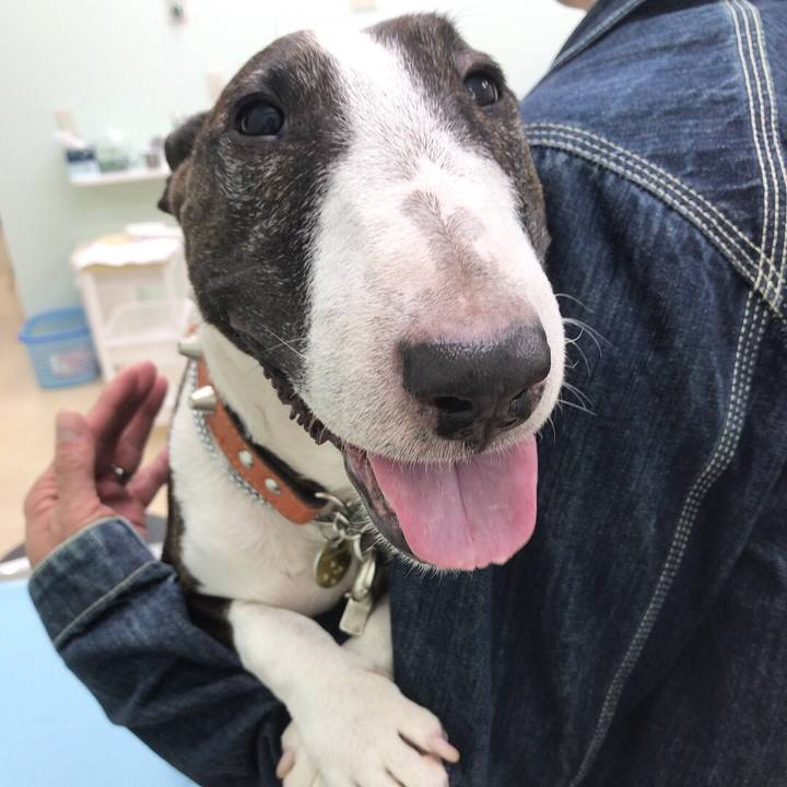 Bc5b1145 63ed 4713 948c b88fbabee3ea 1509533648231