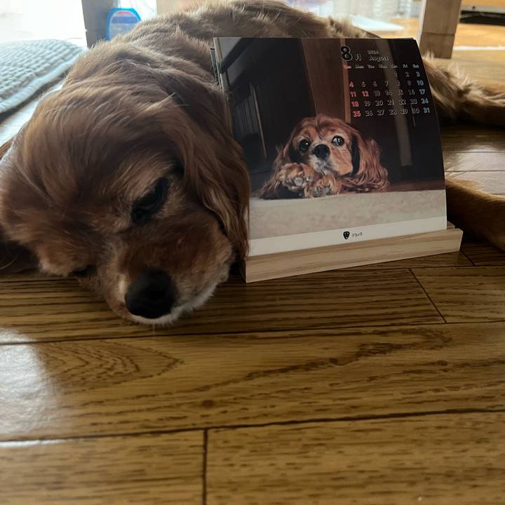 Bc5b2875 3534 4725 a95c 4d10e10df4cb 1722464168791