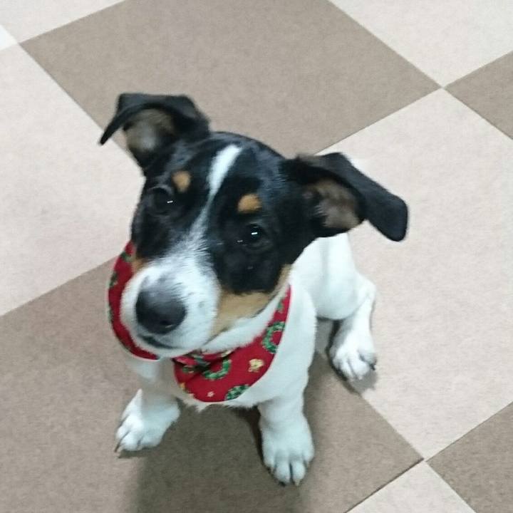 Bc5b46aa 13b3 4eb4 acfe 8d24538d02f0 1513673502459