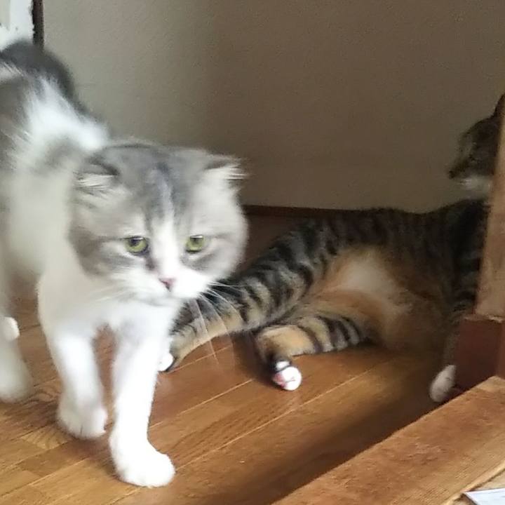 Bc5b676b 650e 402b bf49 b7c60beecfd6 1625215706344