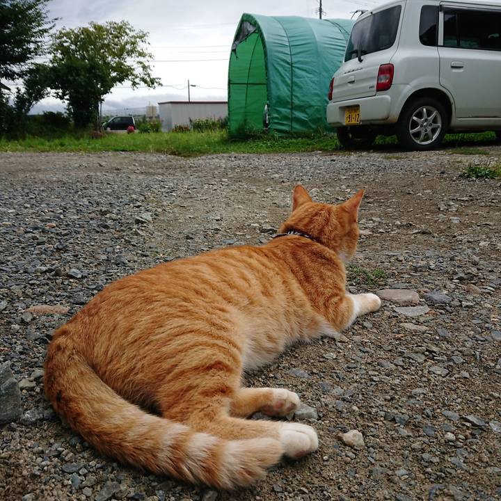 Bc5b9372 5e52 4cfa 8f17 935700f9887f 1569203264708