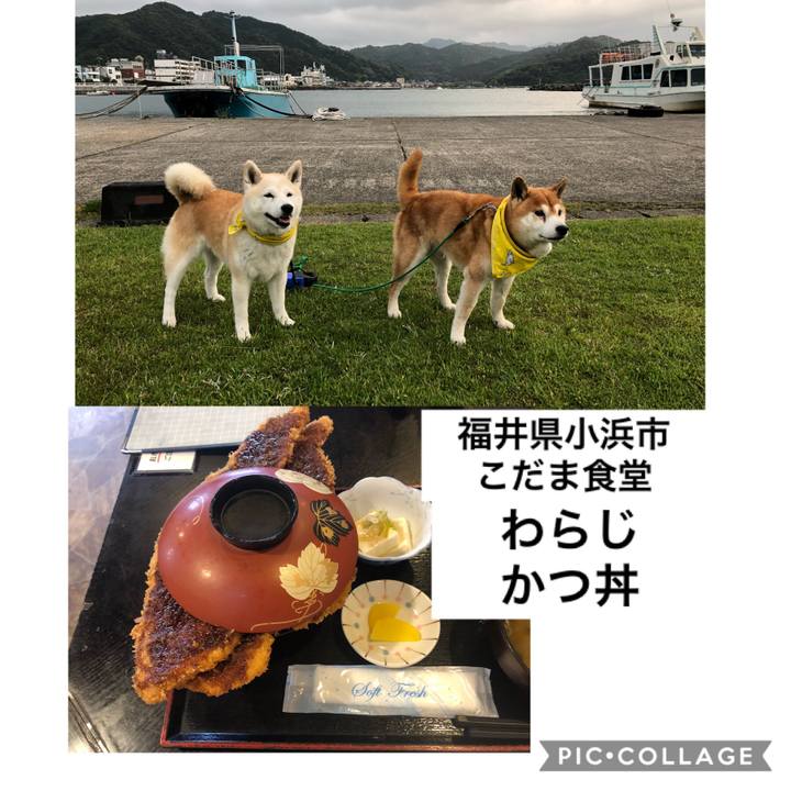 Bc5b9a58 90c1 442c ad15 26ce59e410ee 1560038272370