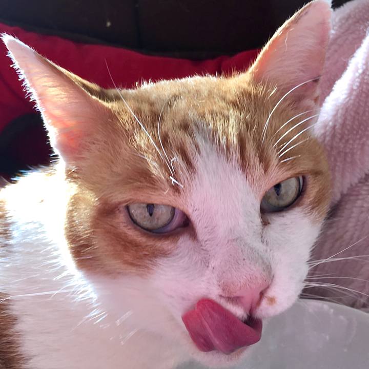 Bc5bb7fe beff 4919 8982 d4558a2df866 1573624452689