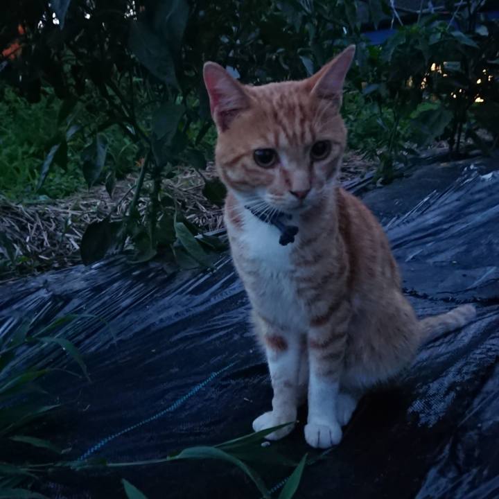 Bc5bbcab 9593 48d6 9833 a78dbf690b0e 1564050573329