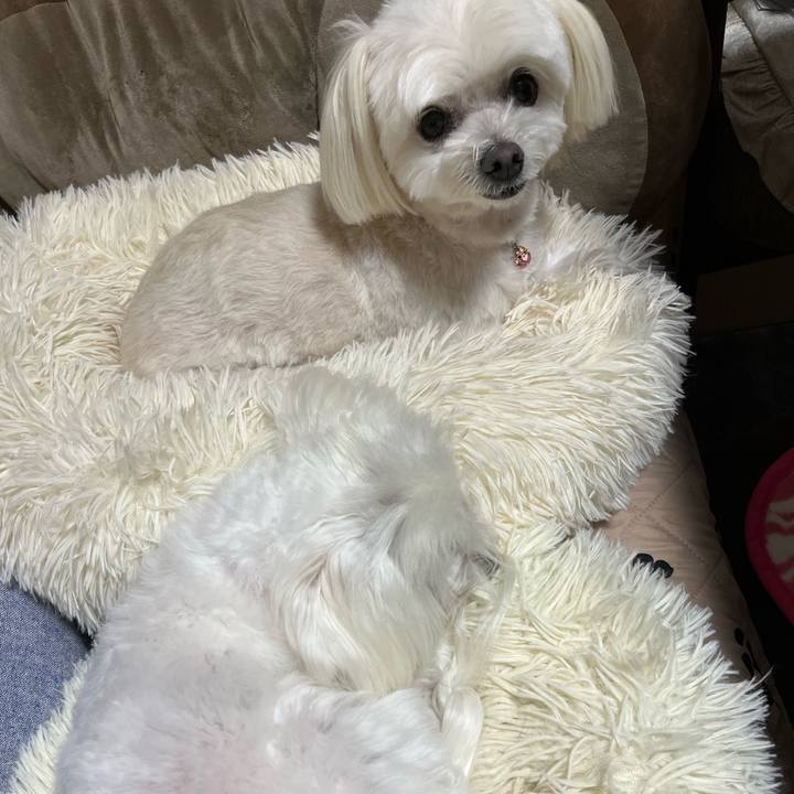 Bc5be9ec 7c75 49fb 965a 81897a7b4fdb 1731064199695