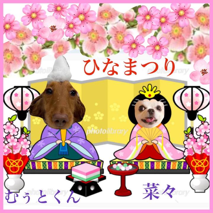 Bc5beb9b a76f 4dc7 9c81 f641ac666299 1646266784792