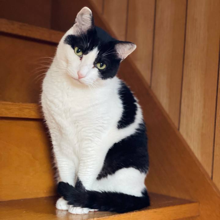 Bc5bf4b6 64bd 4044 bf62 95f4c5404156 1629852543443