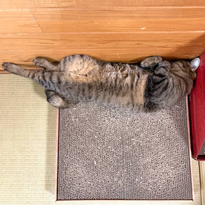 Bc5c1035 7115 4d1d b0c6 511c1c8bf426 1593496467110