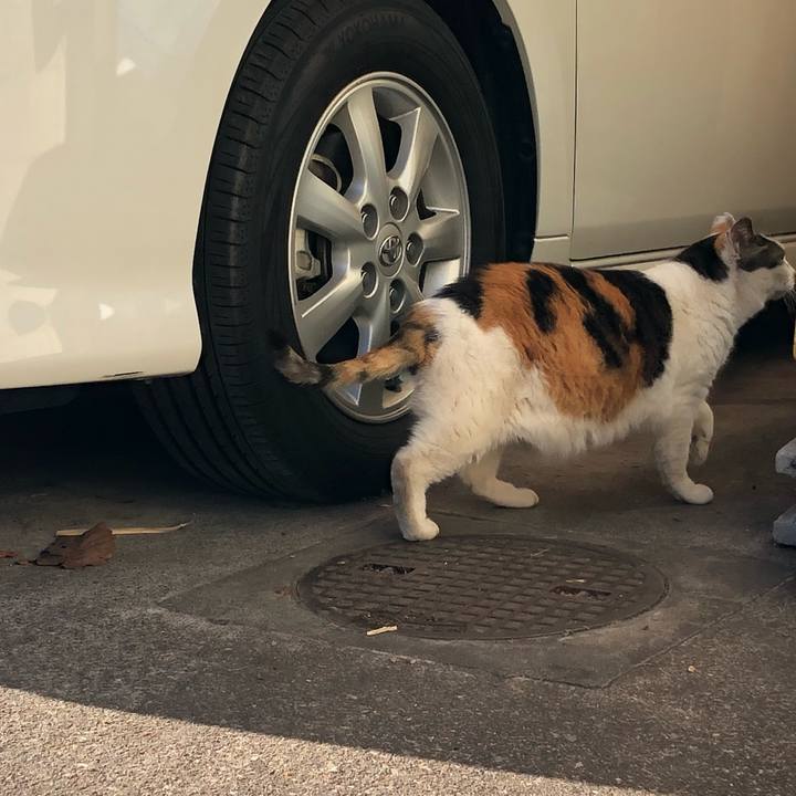 Bc5c58dd 1c72 4040 8576 5c95deb1cf69 1644765081441