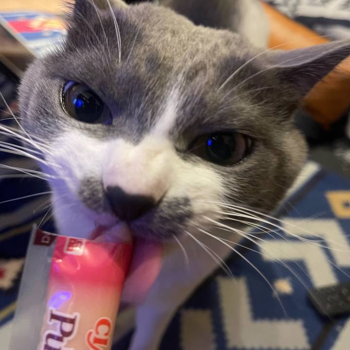 Bc5c7627 f7d6 4601 b37f e9e385d62186 1668760068696