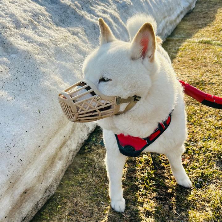 Bc5ca83b 37a5 4101 a5a9 cd714c0f86ee 1712183055076