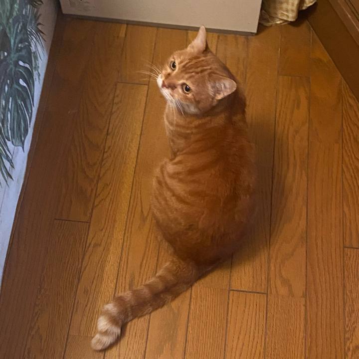 Bc5cbe72 7071 4c41 b9e9 b46069360853 1671243073812