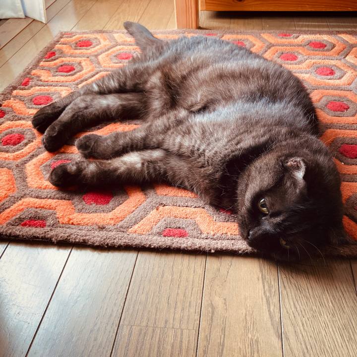 Bc5ceea1 f550 4253 990b 71632f43fa9b 1597913311634