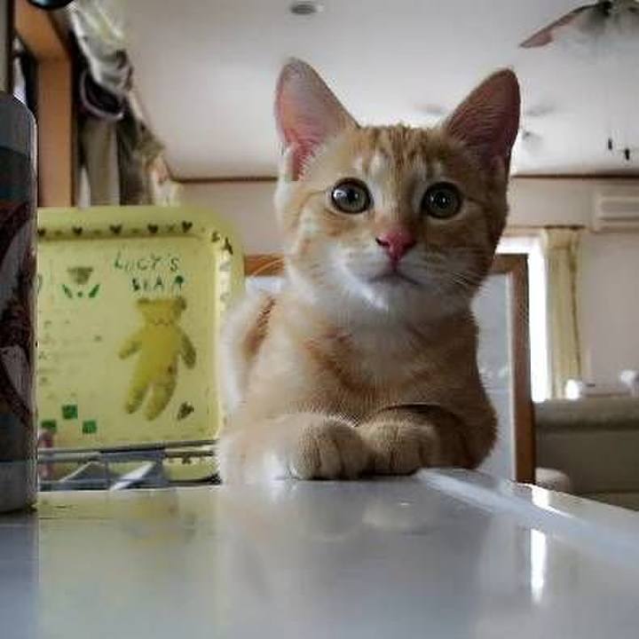 Bc5cf4b6 e6aa 4a26 bb2b eb5b493433e1 1714311959358