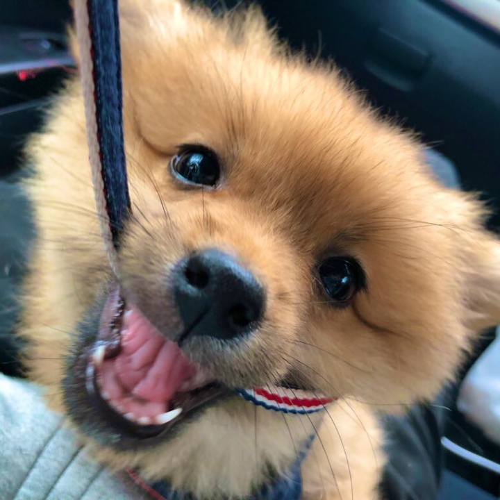 Bc5d00bb d266 410d 938e 7596f1cfcb27 1574688715842