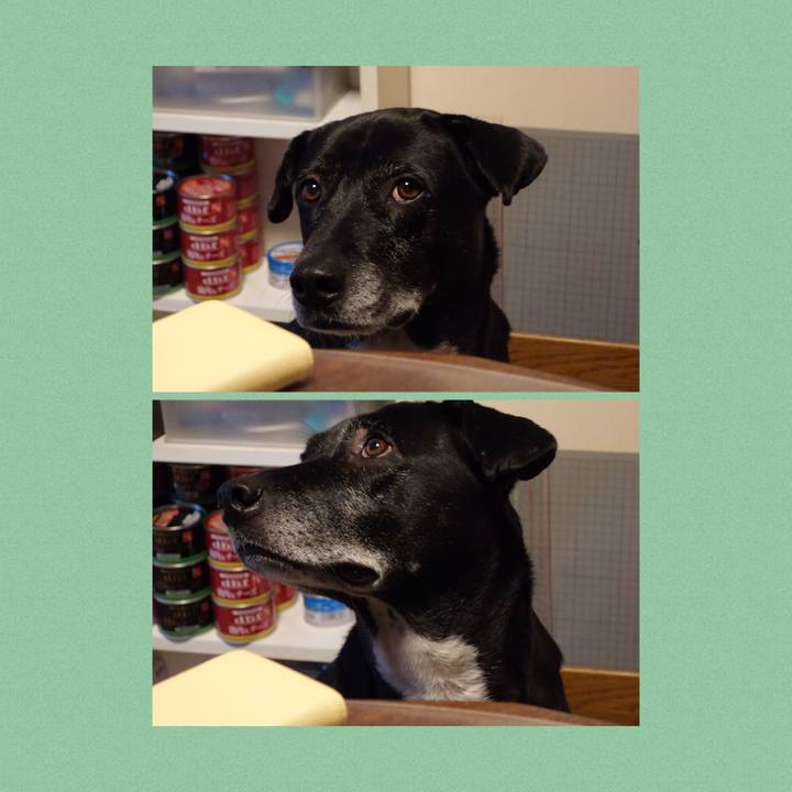 Bc5d35ca 2a95 4984 9d7c 382629089c6b 1735432401971