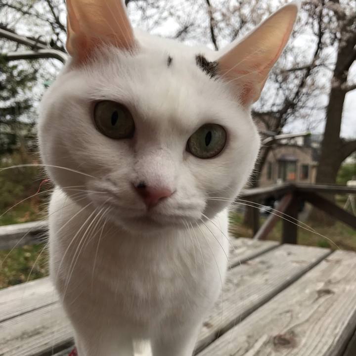 Bc5db43e 2af6 40a0 8c62 a07710fce24e 1557621670425