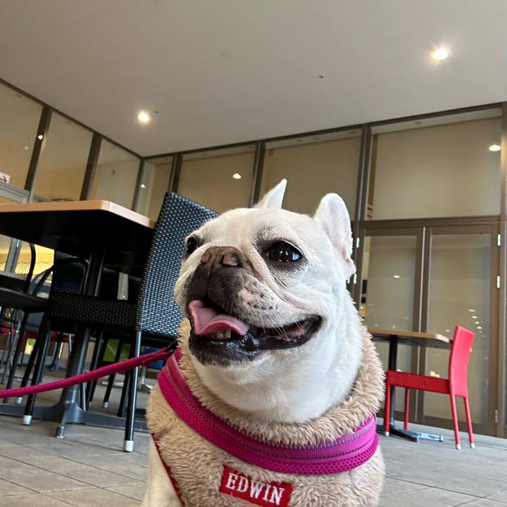 Bc5db5f5 7485 47e0 9422 8751c869a074 1706498923850