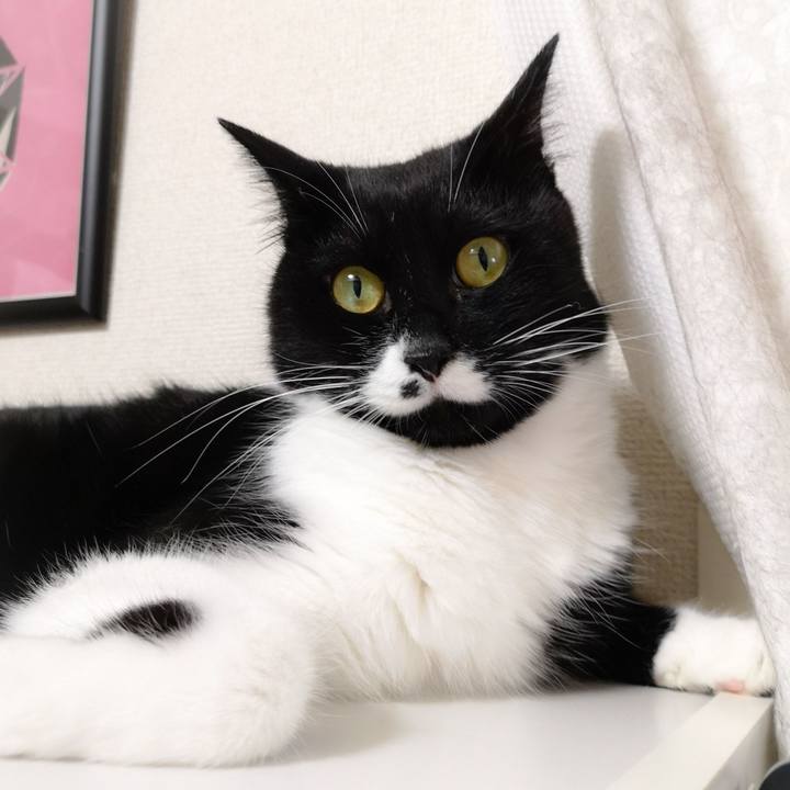 Bc5db914 22a9 4e69 a5f5 e1c601c70f99 1594556173300