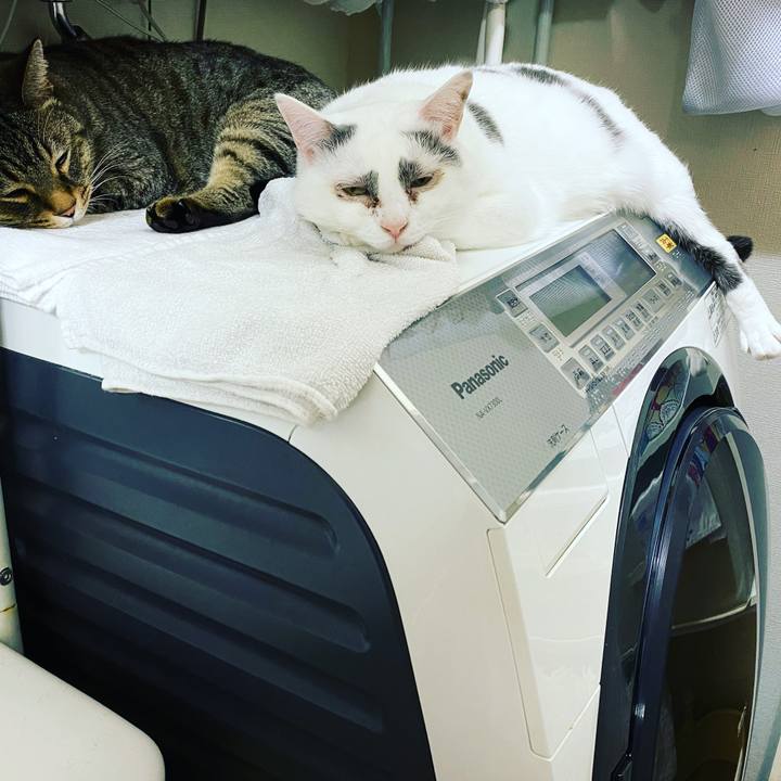 Bc5dded1 1ce9 4e68 b846 8732d3af580d 1585456441856