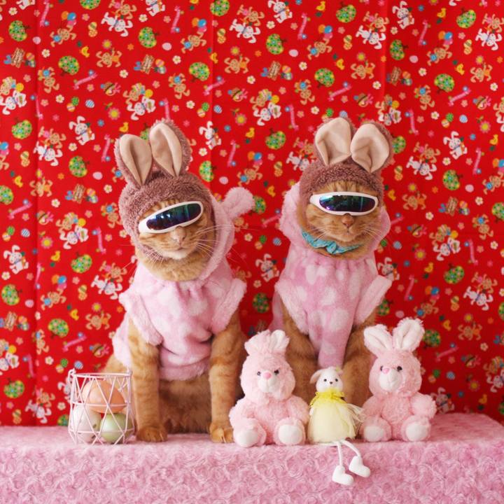 Bc5ddfd6 0f07 4142 a38b fceea0c43e01 1745050089038