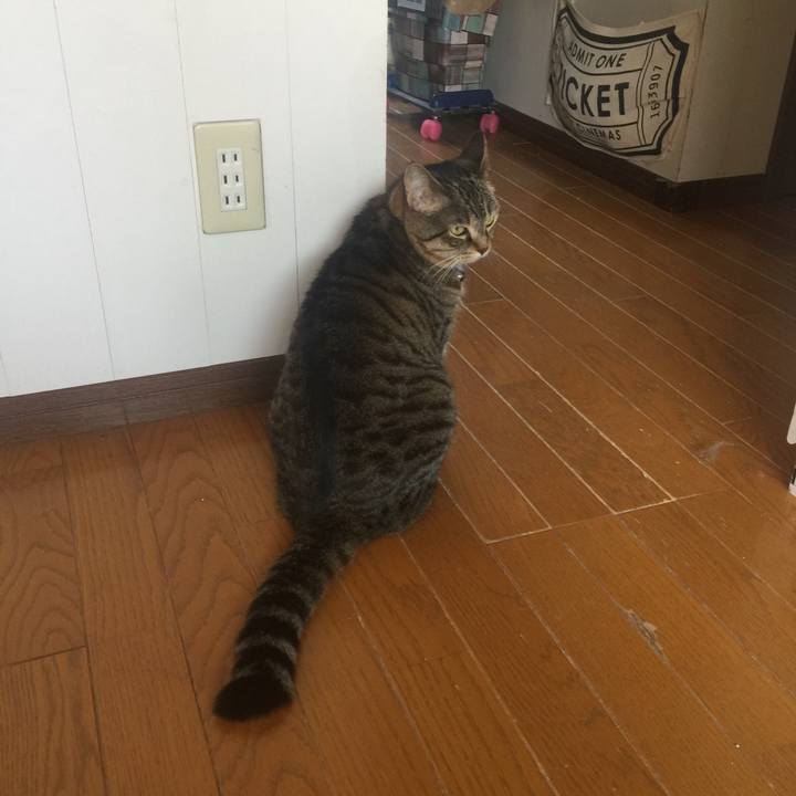 Bc5e05c8 c47f 420b 9547 01275709391b 1557558039399