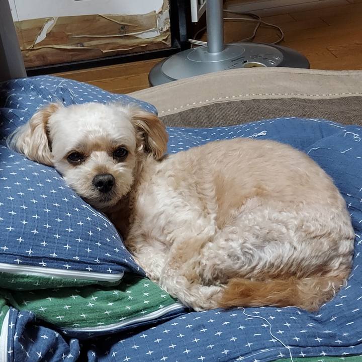 Bc5e2d9c d14b 43c8 bf24 e74cf896f5f0 1628043692176