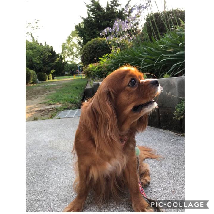 Bc5e3276 a7cb 4028 ad5f 993a8a66e90a 1593382456832