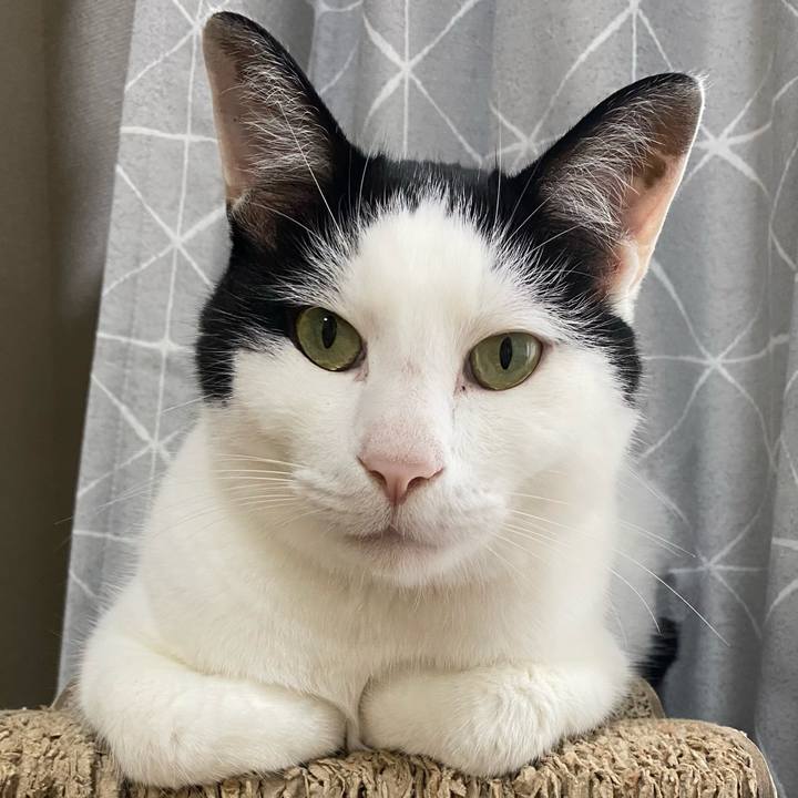 Bc5e3625 5dba 4081 99f1 b0caa5398269 1657953060413