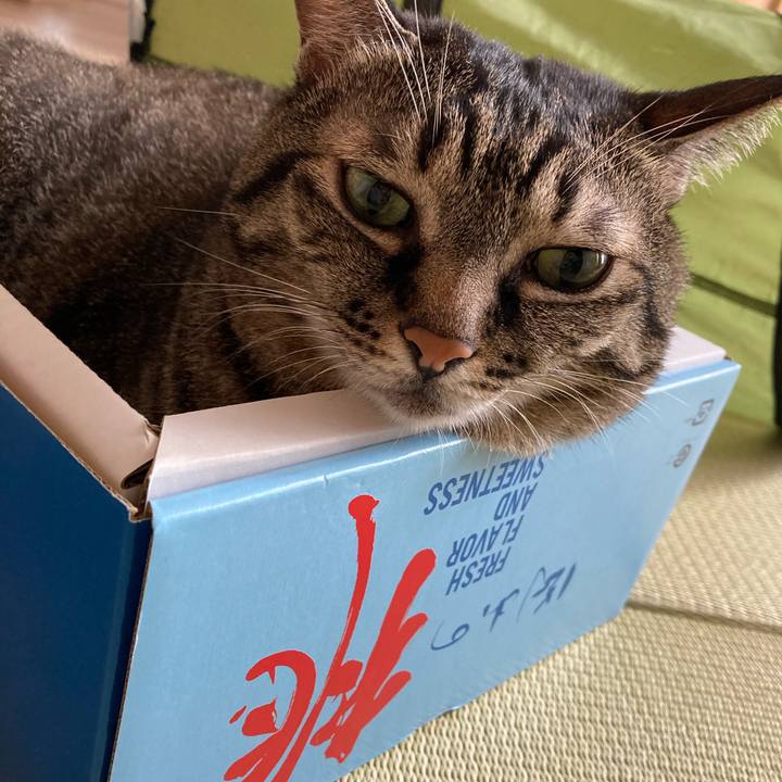 Bc5e3b35 3127 4aea 9e82 9d2e1b03f2d6 1662335601085