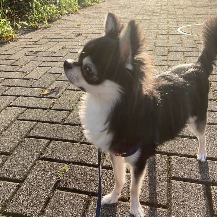 Bc5e4ed0 2df1 4e5b a34e e5e55115fb13 1628458556594