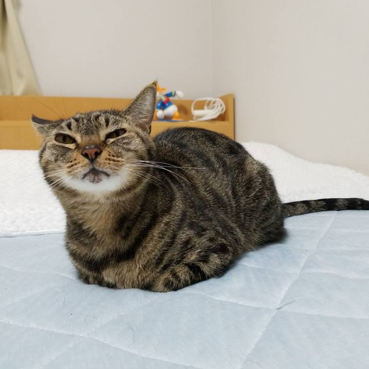 Bc5e6b62 9695 4119 be6b fbdf6e78ebbf 1573507458406