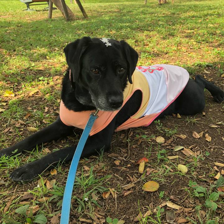 Bc5e856a d9cf 4d52 bc38 12987341c777 1539134597163