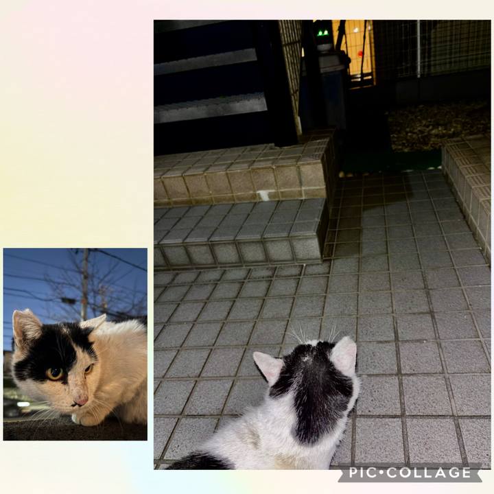 Bc5e883d 7349 42a7 a126 b85be0aafa56 1765540421773