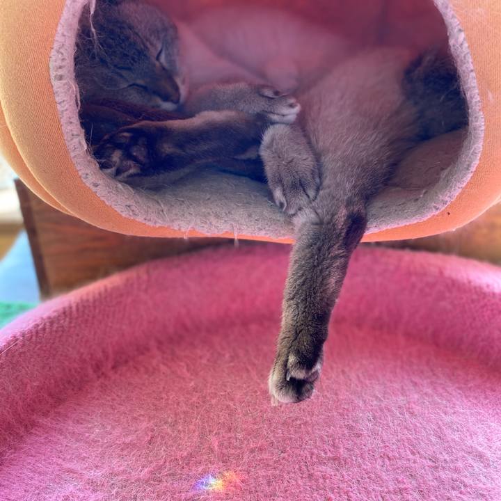 Bc5ec529 a928 451d aa98 7fef30e6c616 1601351985884