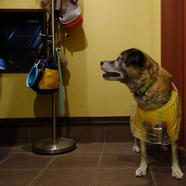 Bc5edbe2 09f0 40b2 a067 de35cec9eb45 1568802907898