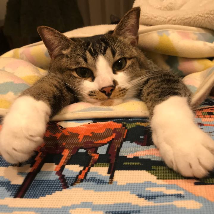 Bc5f2651 1332 49f7 8780 979d318a454c 1525087077409