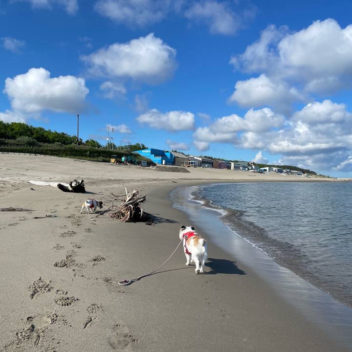 Bc5f337a dd49 432e aa2d b7cf761dc9e7 1654732409124