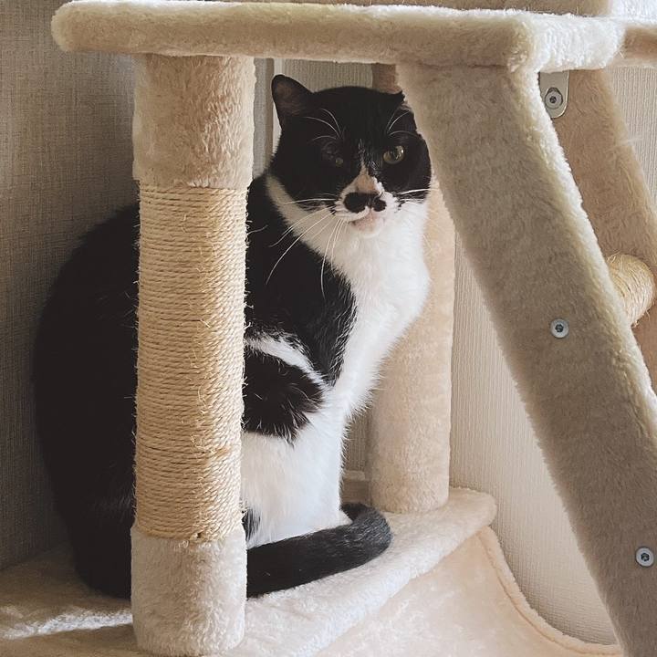 Bc5f94bd ee59 4bc9 b7a7 9f43ae714389 1654905898086