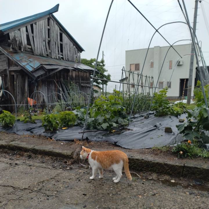 Bc5faf5e 8e6e 43de 808b 6a8f4fe07e1c 1749939940470