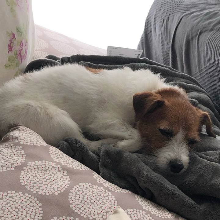 Bc5fbd56 0c72 42ad ad13 6a8de80d4a4d 1592396776281