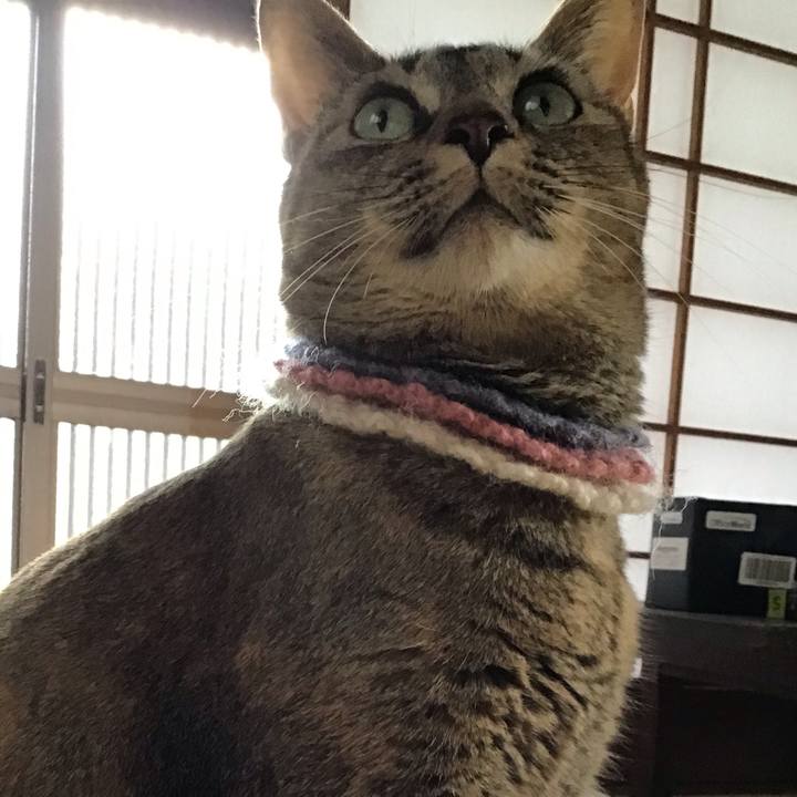 Bc5fe650 6024 4a6e 836e 22f74c95766e 1620453962276