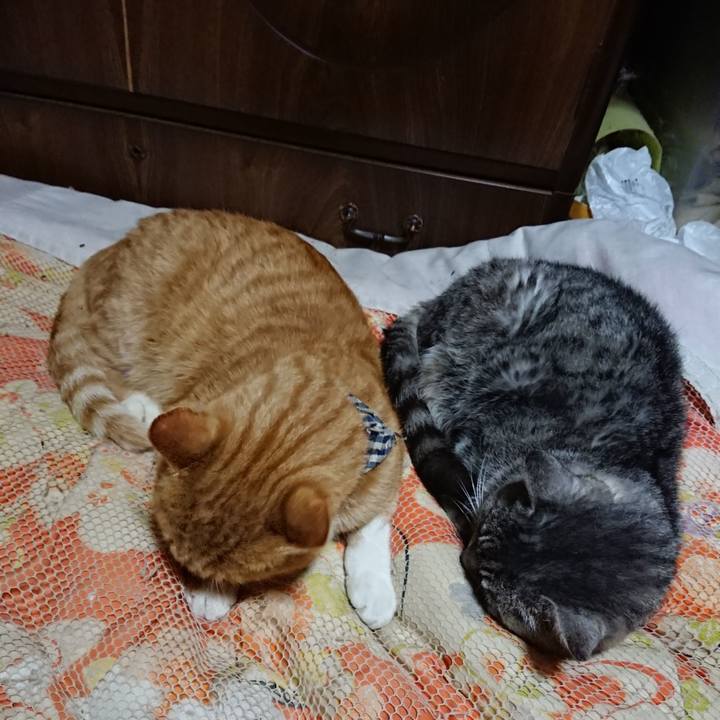 Bc5febd2 722e 4946 922a b5ed05be881b 1573043340249