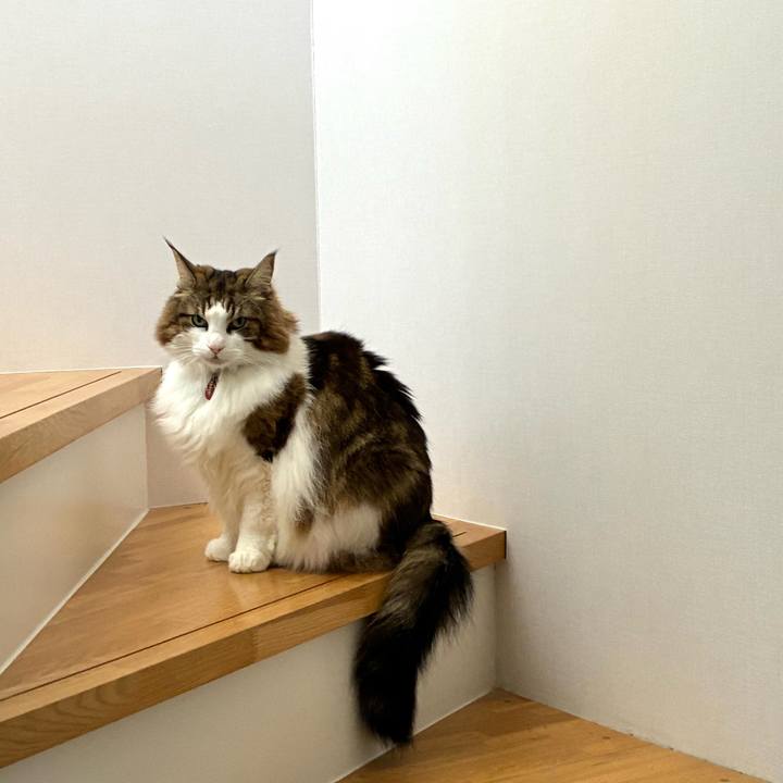 Bc601004 9a79 4e01 8fb9 19b87d2a1276 1771470006529