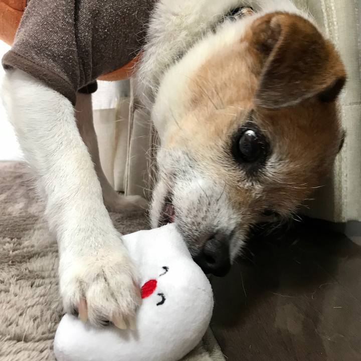 Bc601068 2c25 4d3c a126 7d932487eb22 1611813604661