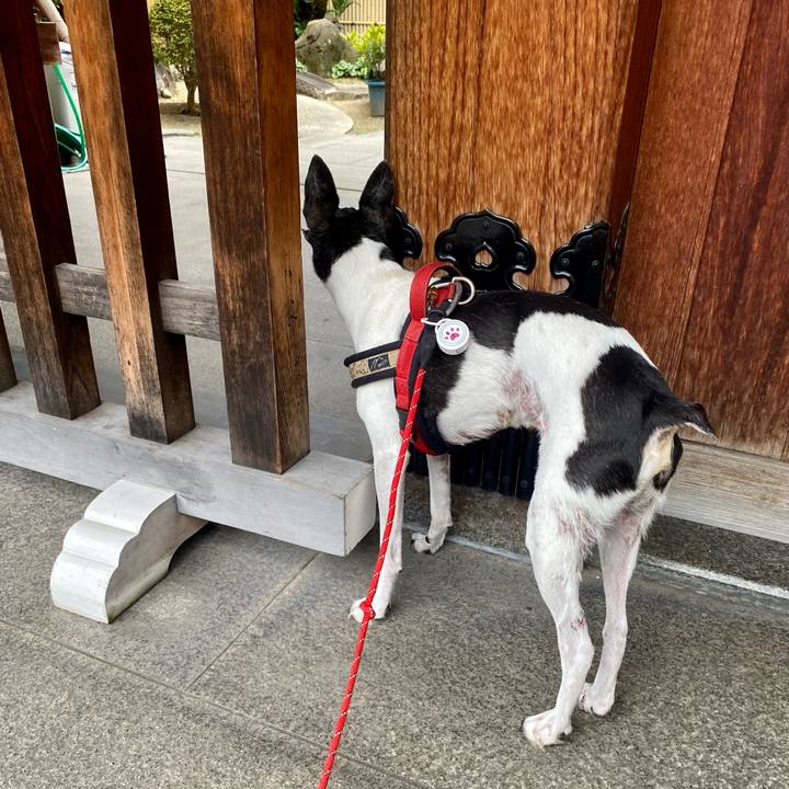 Bc602ff7 401b 4ba6 8744 9a45b8981d0f 1631434915467