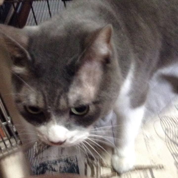 Bc604da4 e10b 4064 a6b9 e022bd3bd923 1511324312857