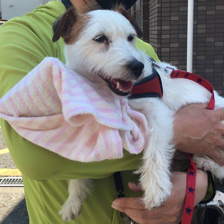 Bc6057b2 00a6 485a 86d6 56d5d9318454 1623506736090